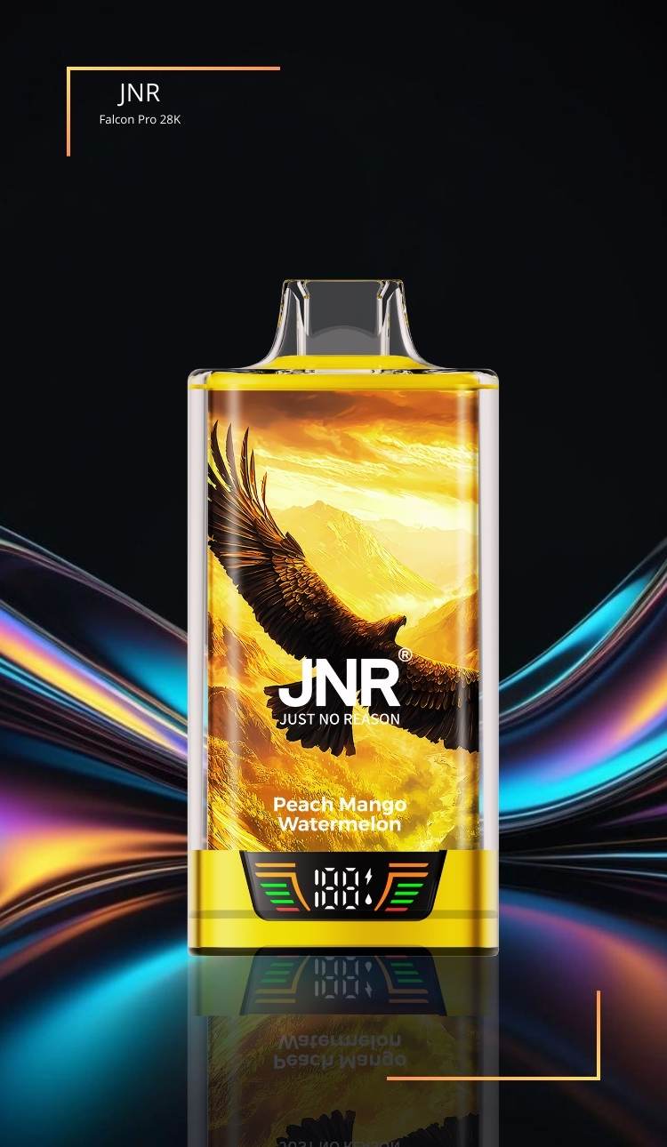 Günstige E-Zigarette JNR Falcon Pro - 28.000 Züge